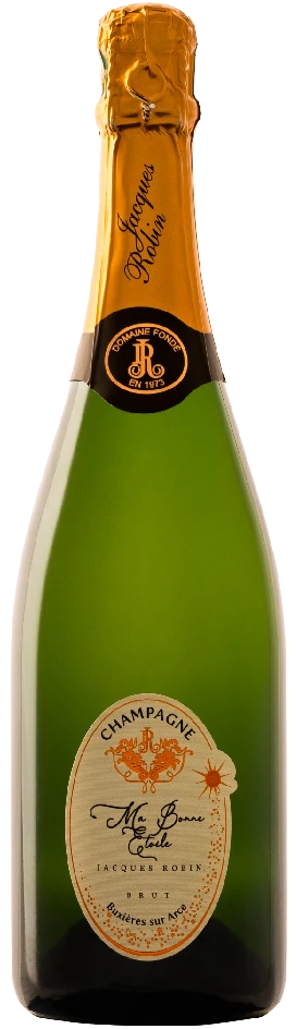Jacques Robin Ma Bonne Étoile Brut 