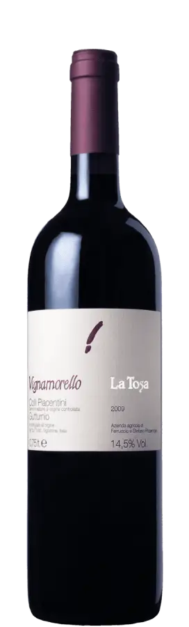 La Tosa Vignamorello Gutturnio Superiore DOC BIO 2018 La Tosa Vignamorello Gutturnio Superiore DOC BIO 2018