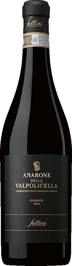 Fellini Amarone 2017 Fellini Amarone 2017