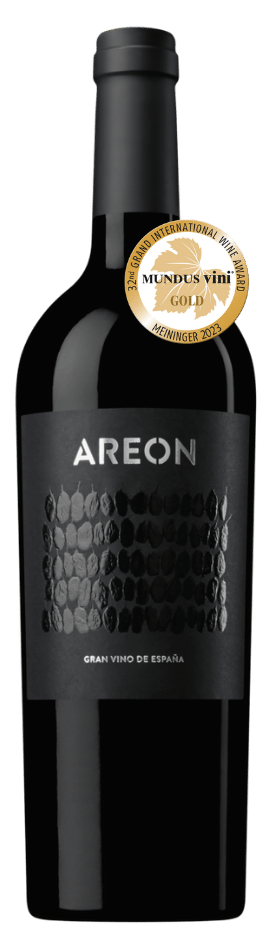Areon 2019